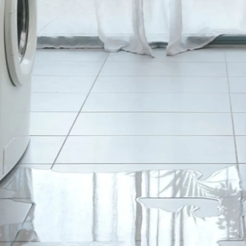 Appliance Leak Cleanup in Northchase, NC