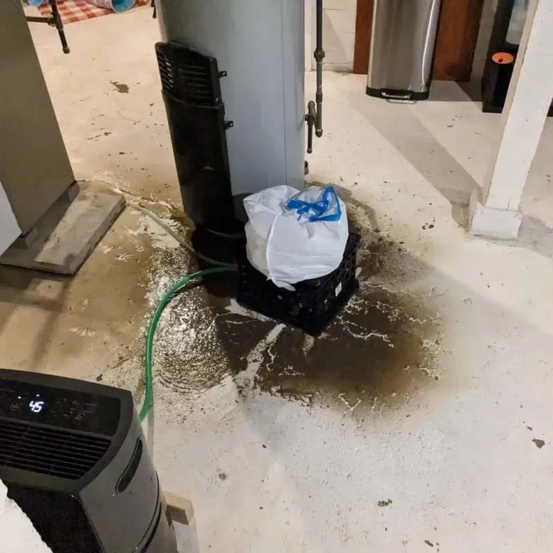 Sewage Backup Cleanup Service in Northchase, NC